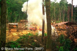 Malaysian police dismantle a previous Penan logging road blockade in 1993.